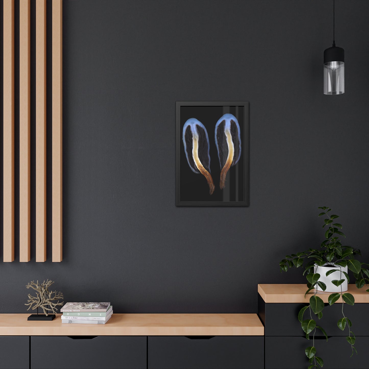Framed Posters