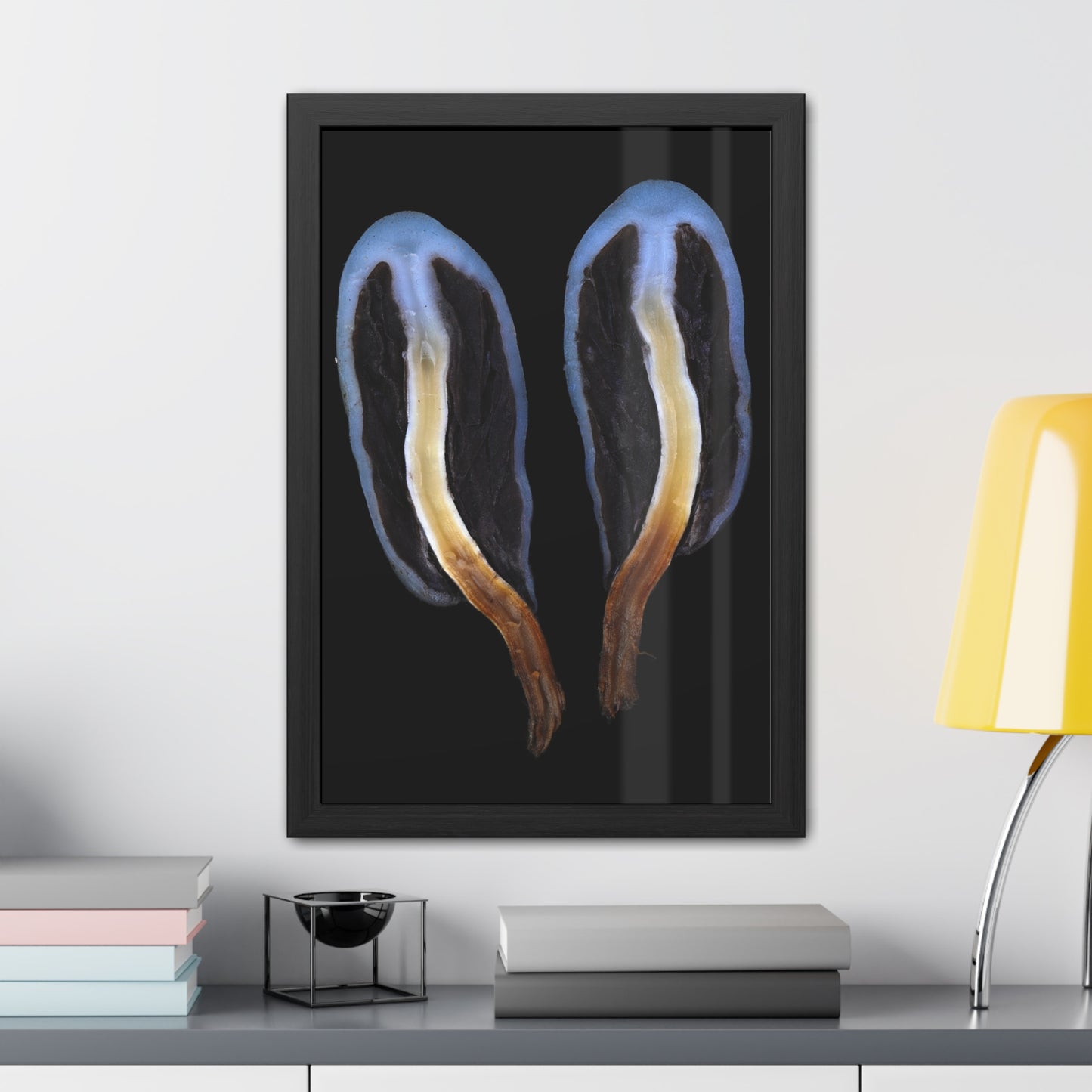 Framed Posters