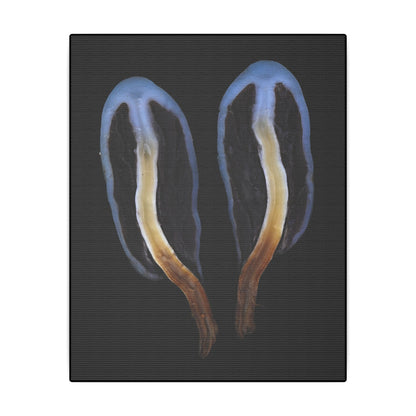 Psilocybe Weraroa (Canvas Print Matte)