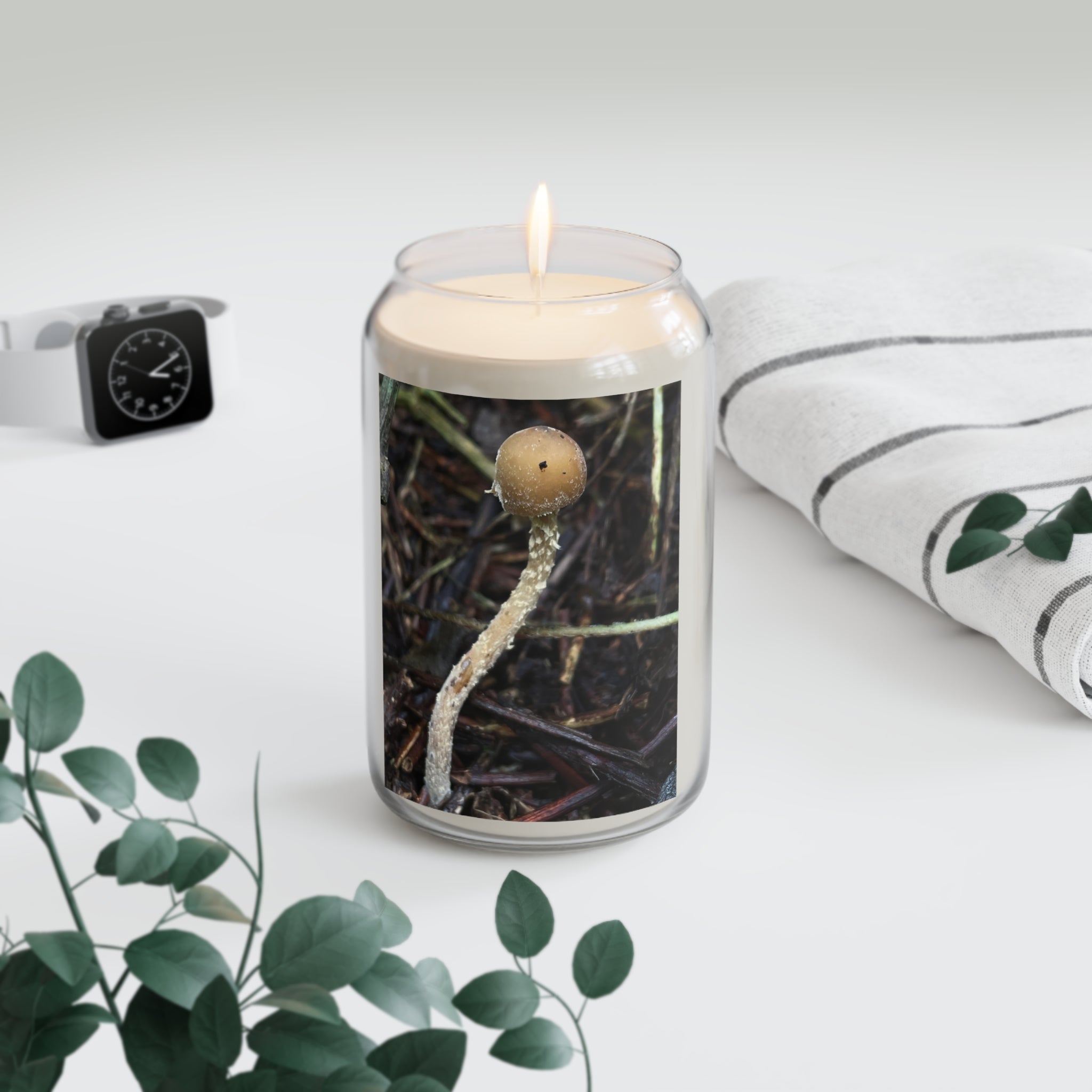 Forest Zap Soy Candle — 13.75 oz