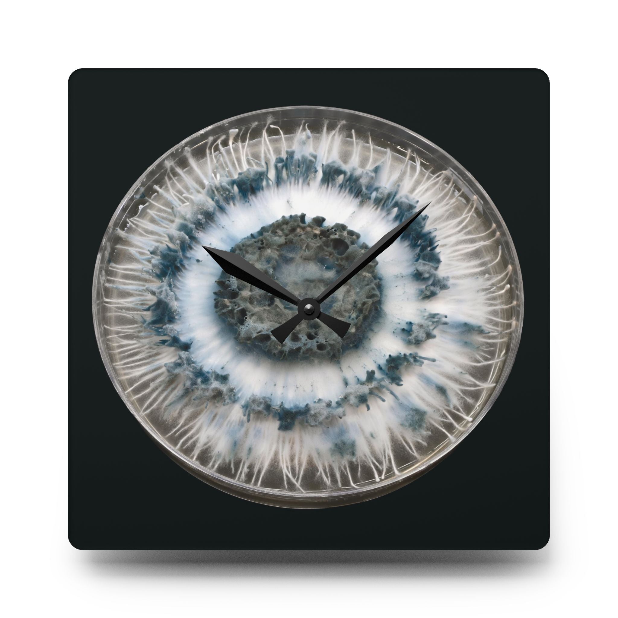 Caeruleorhiza — Mushroom Wall Clock