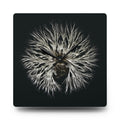 Cultured Specimen No.1 — Mycelium Wall Clock