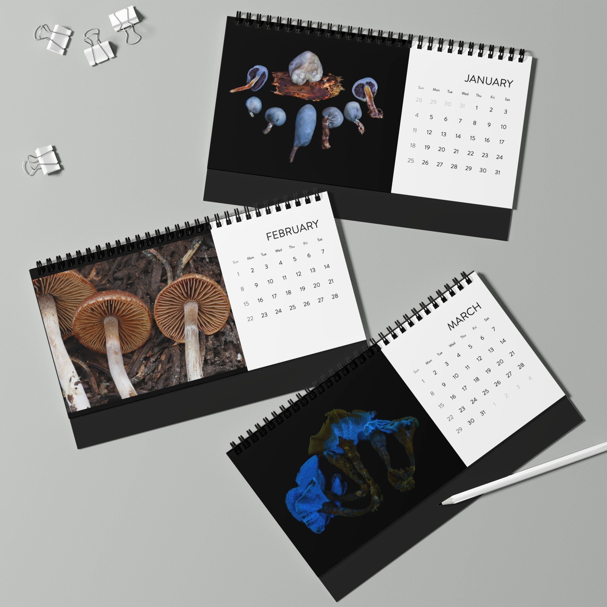 Alan Rockefeller Photography Desktop Calendar 2026