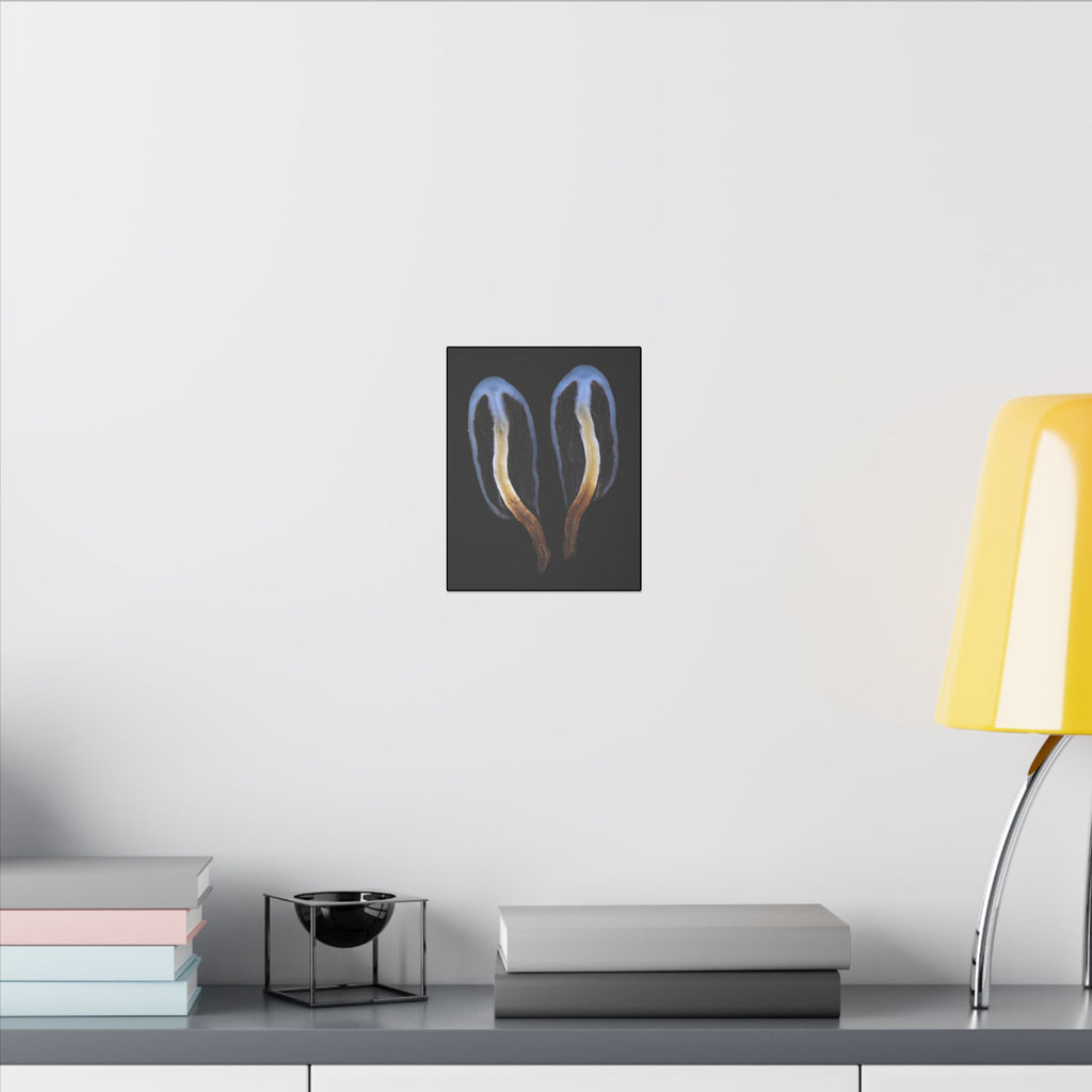 Weraroa - Canvas Print Matte