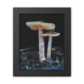 Whangaeri Wonders - Framed
