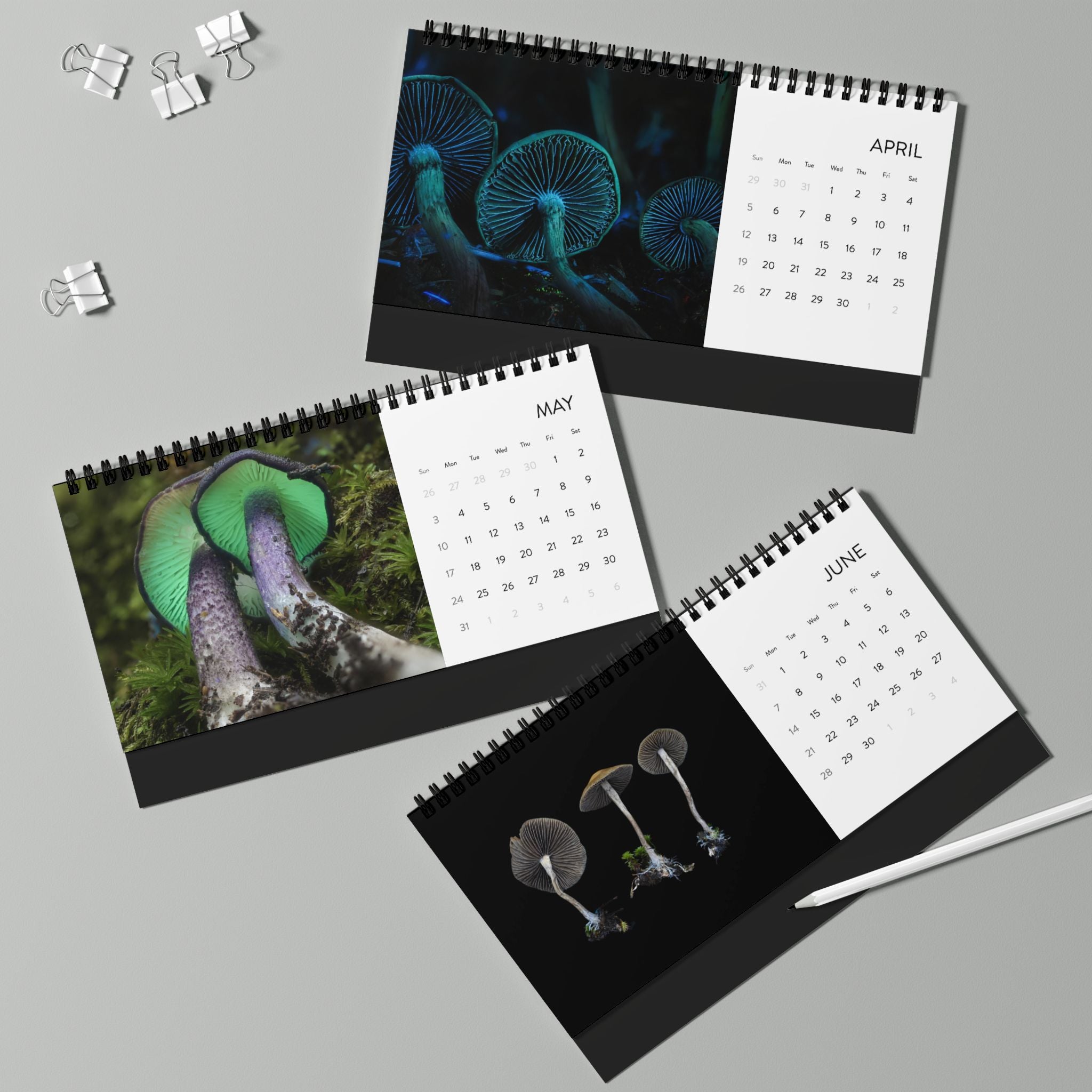 Alan Rockefeller Photography Desktop Calendar 2026