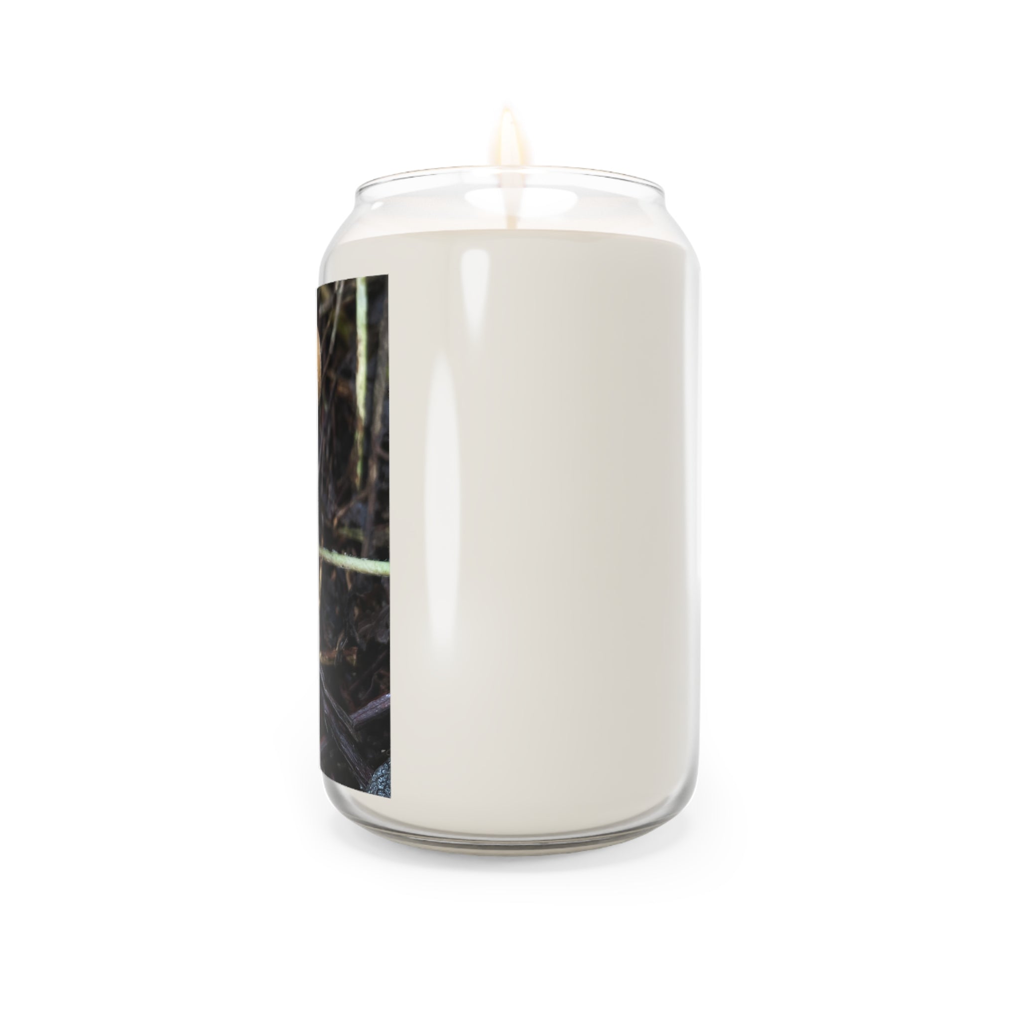 Forest Zap Soy Candle — 13.75 oz