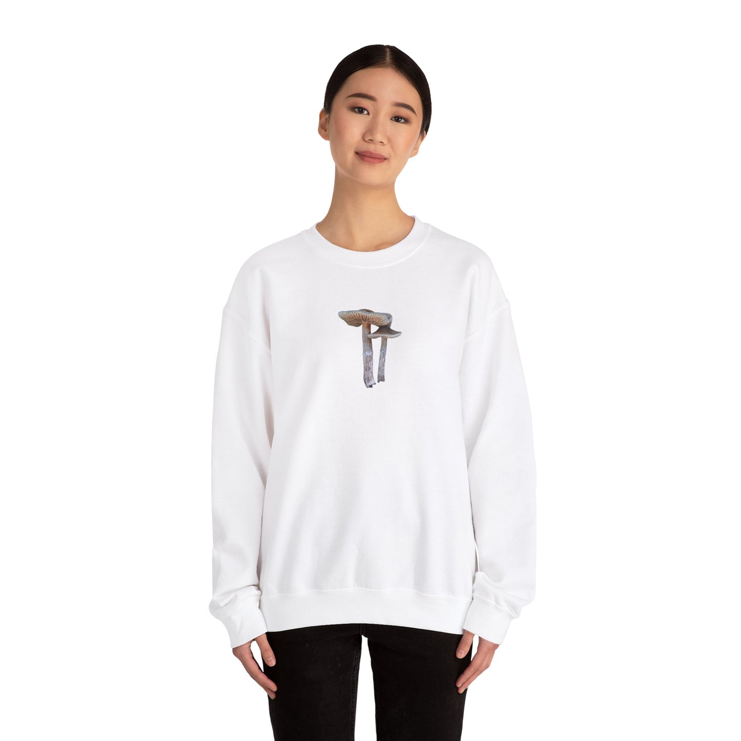 Whangarei Wonders Sweatshirt (Unisex Heavy Blend™)