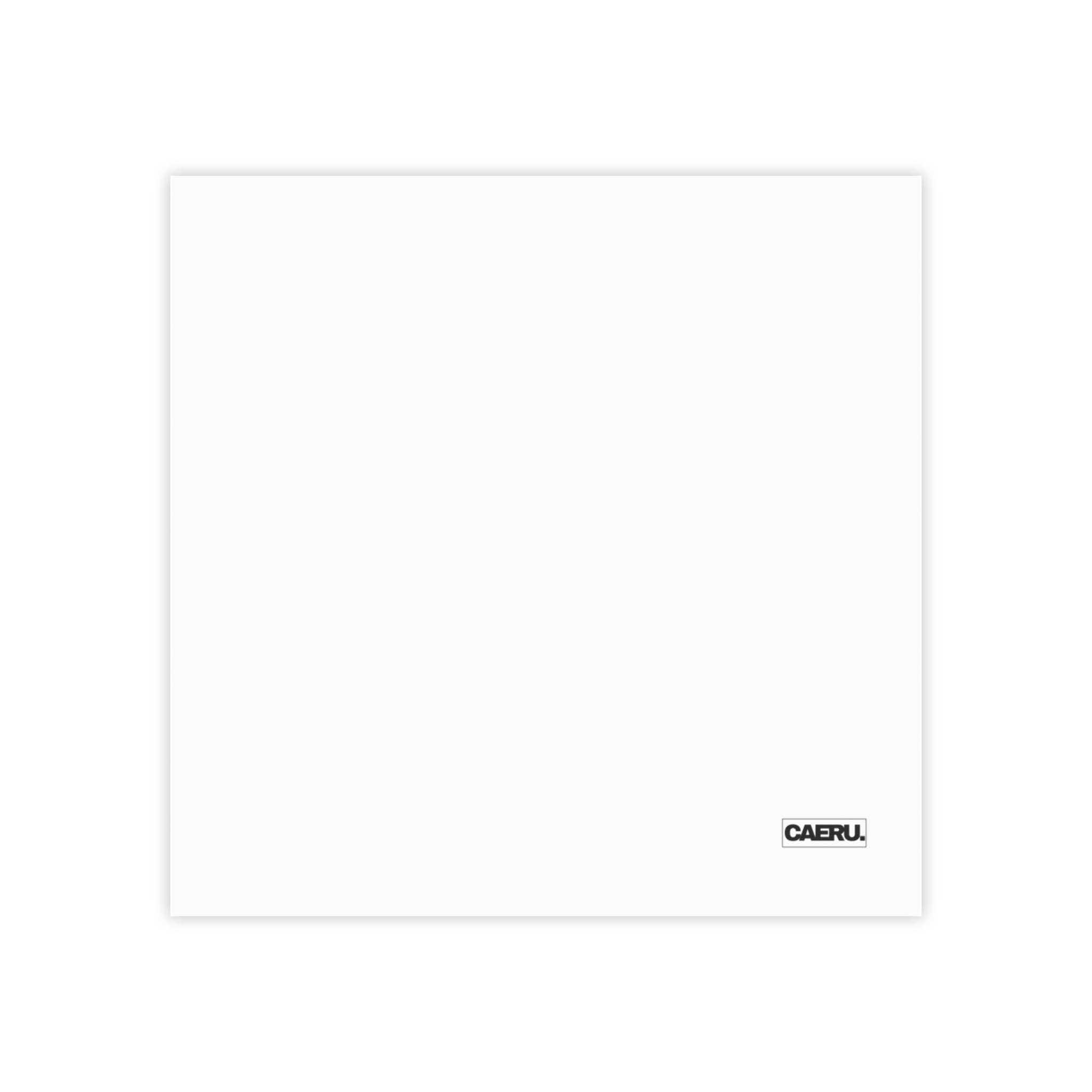 CAERU.Post-it® Note Pads