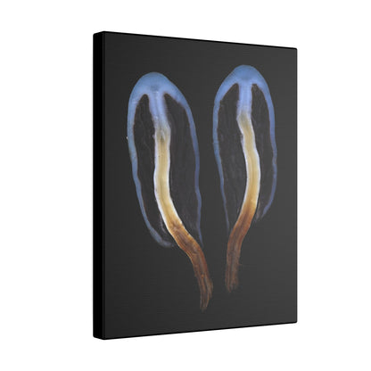 Psilocybe Weraroa (Canvas Print Matte)