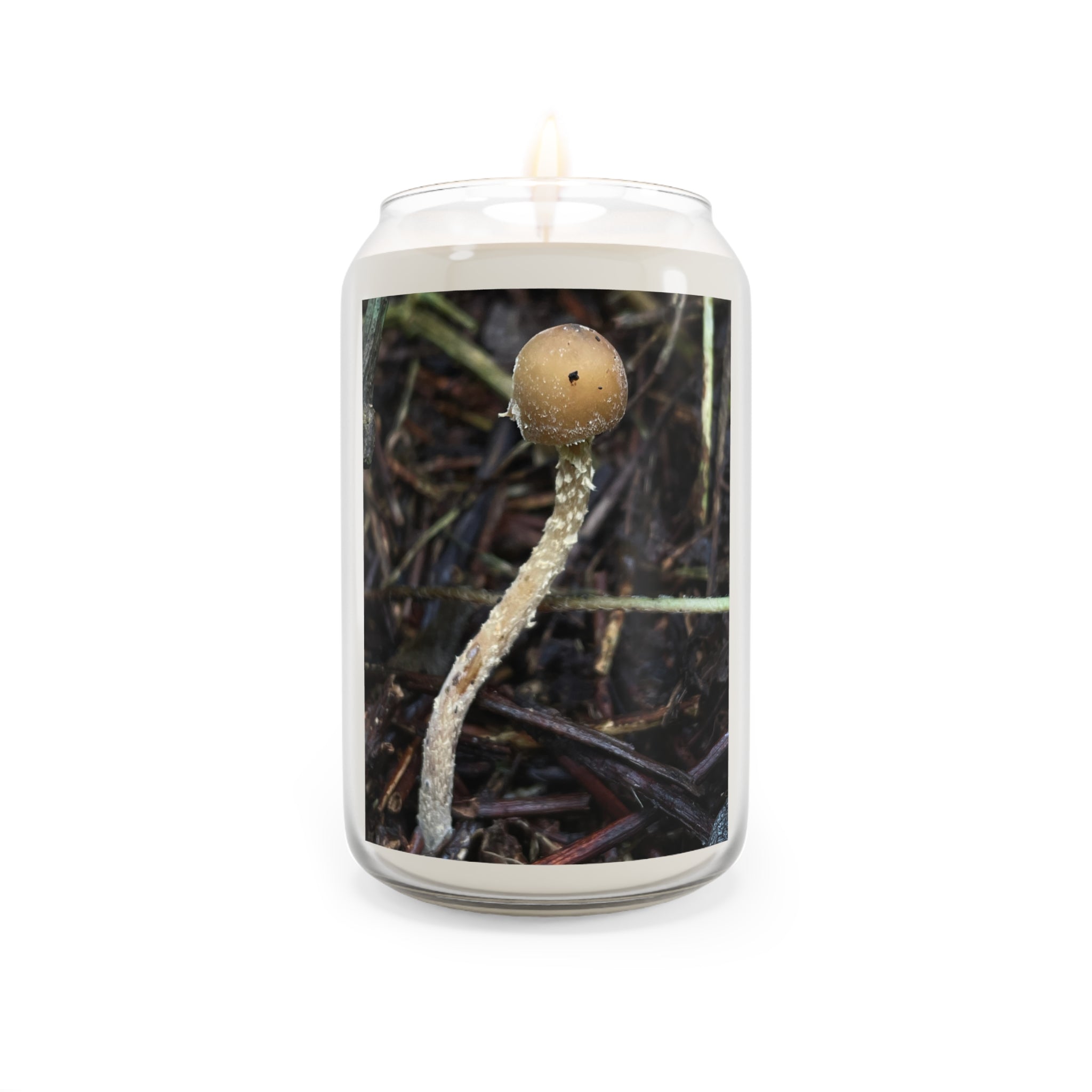Forest Zap Soy Candle — 13.75 oz