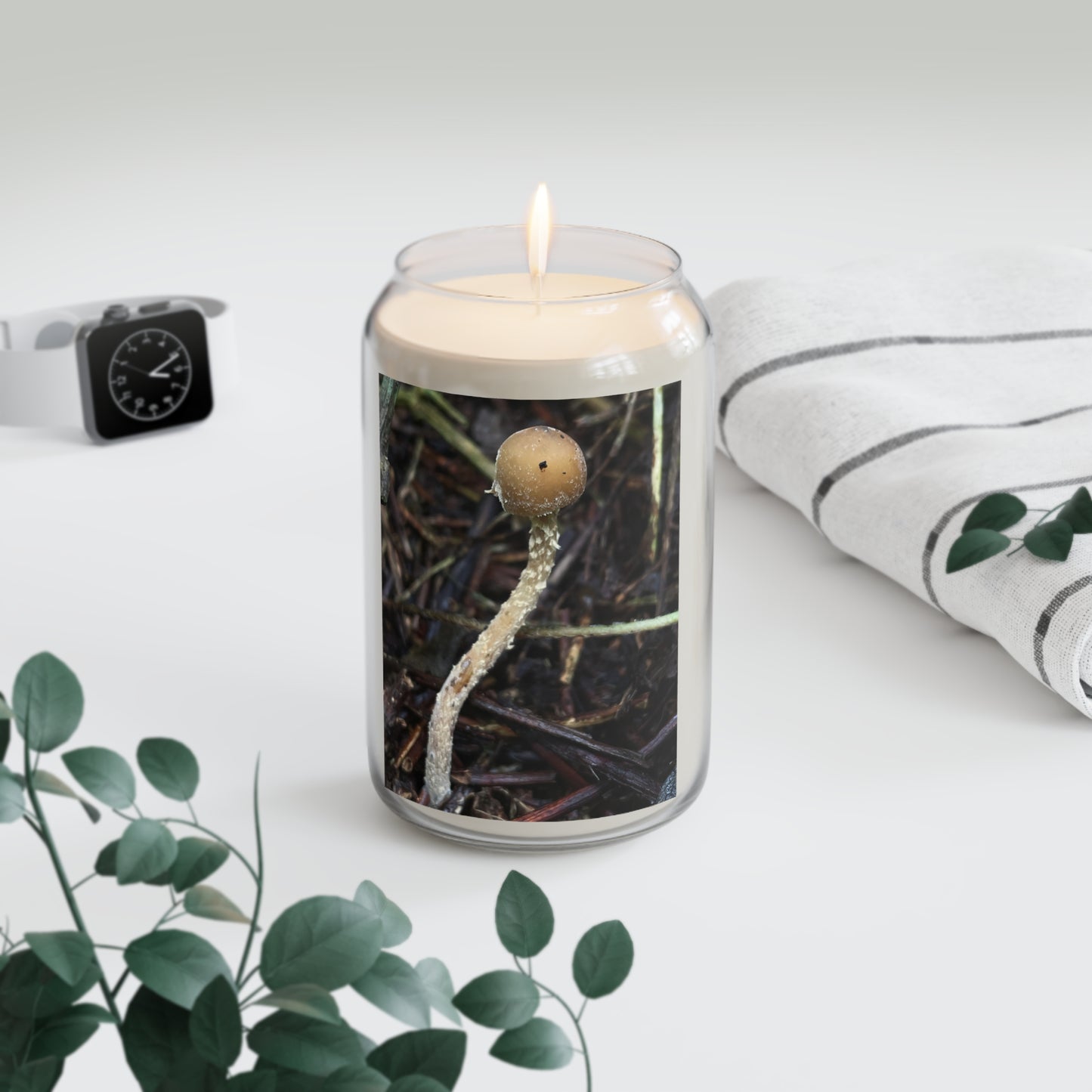 Forest Zap Soy Candle — 13.75 oz