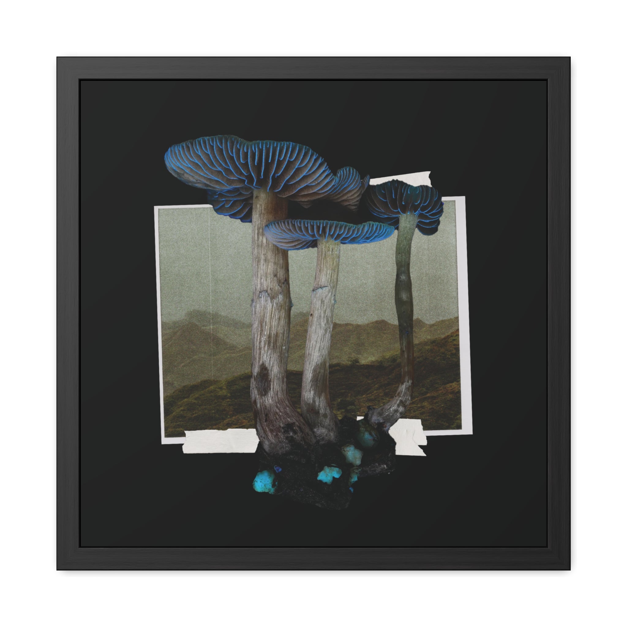 Into The Blue - Framed