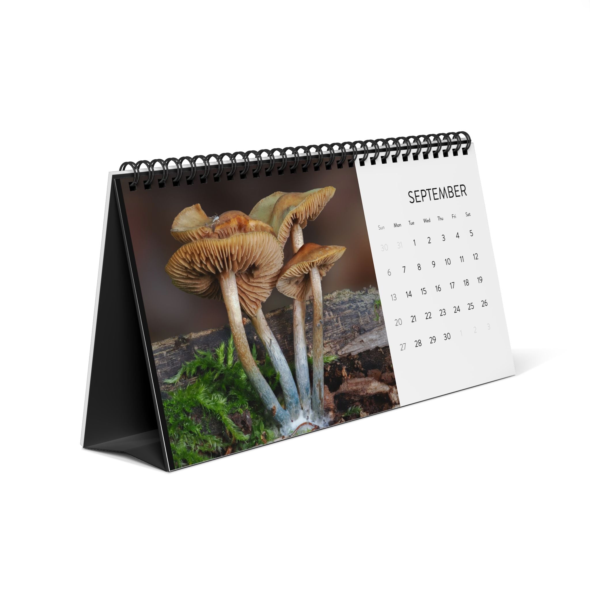 Alan Rockefeller Photography Desktop Calendar 2026