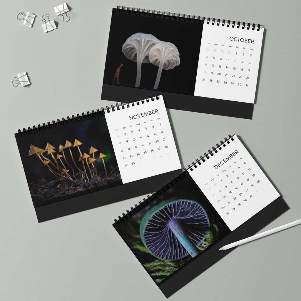 Alan Rockefeller Photography Desktop Calendar 2026