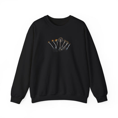 Forest Discovery - Crewneck Sweatshirt