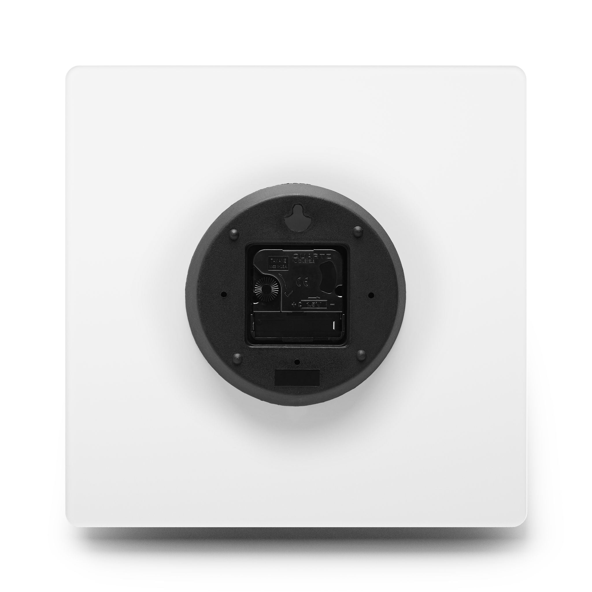 Cultured Specimen No.1 — Mycelium Wall Clock
