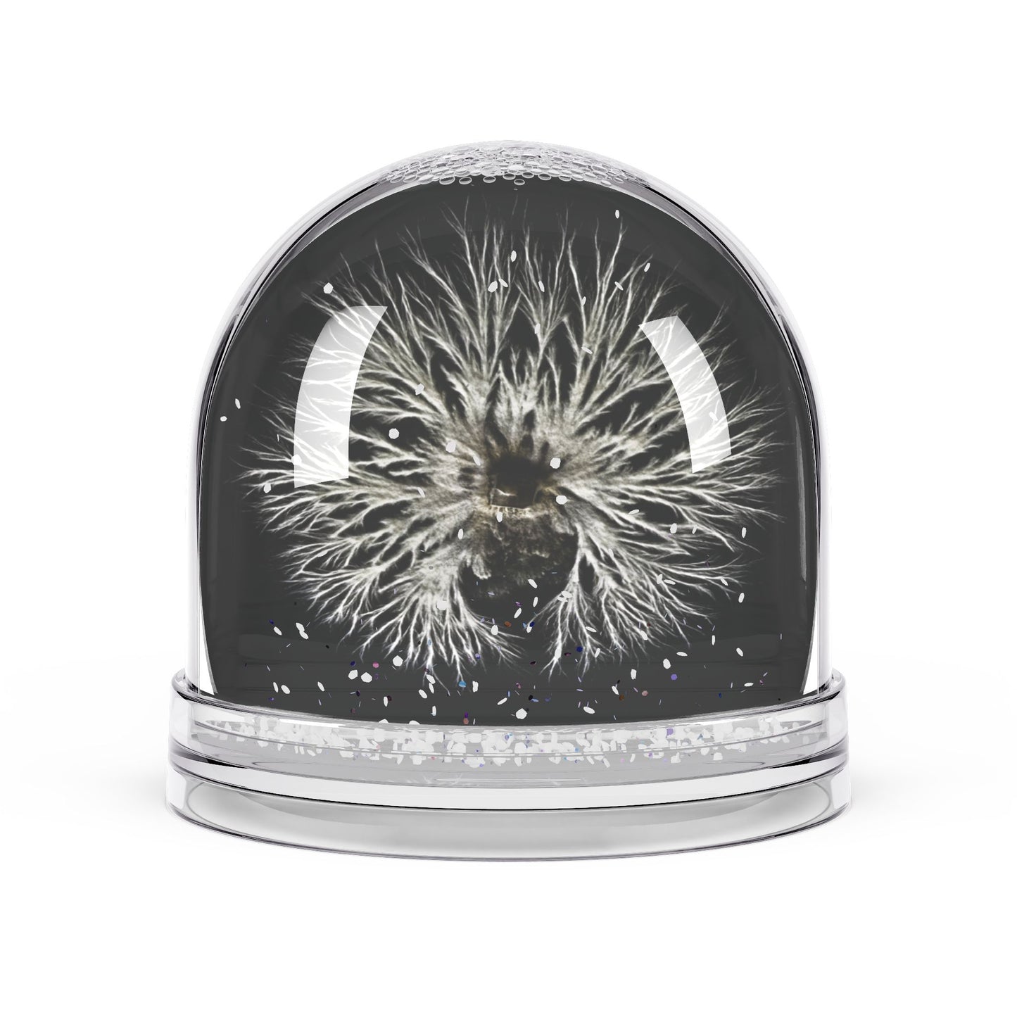 Culture Snow Globe *AR Collection #1