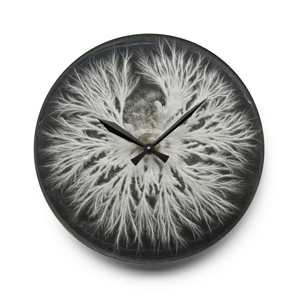 Specimen Plate — Mycelium Wall Clock