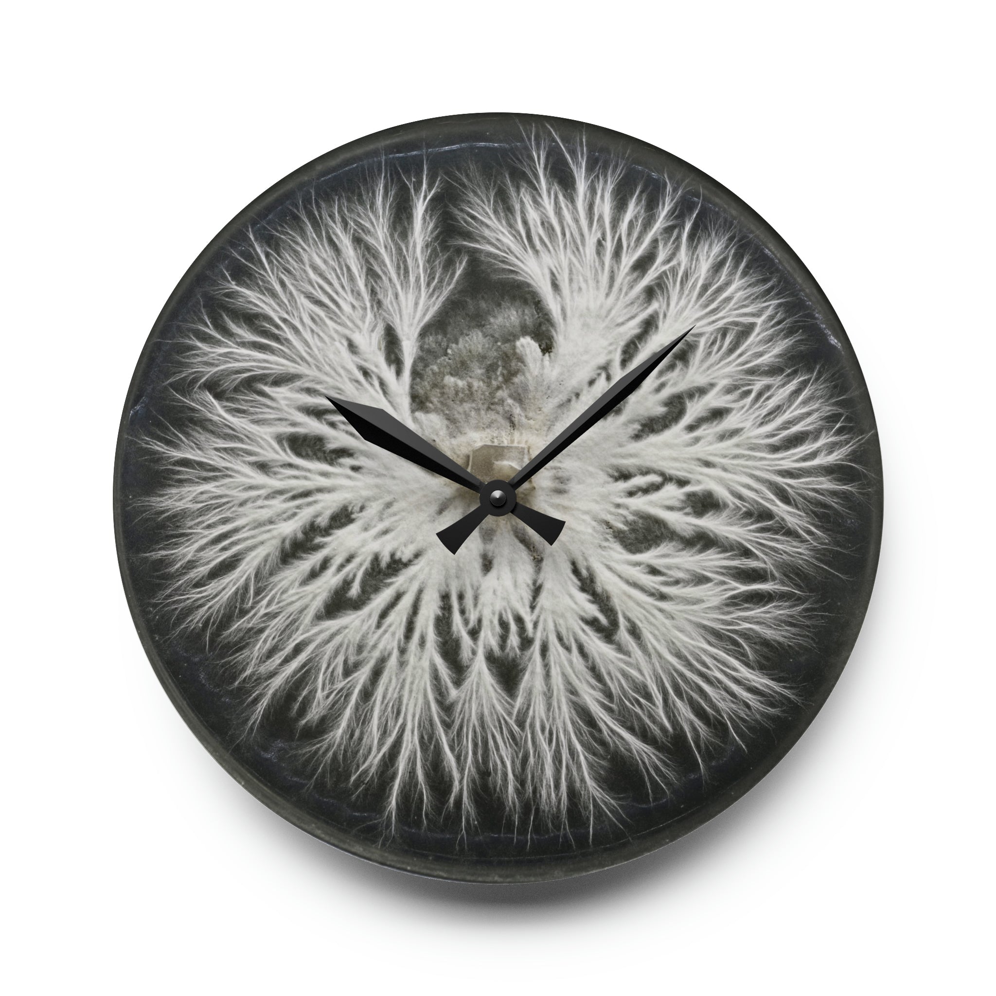 Specimen Plate — Mycelium Wall Clock