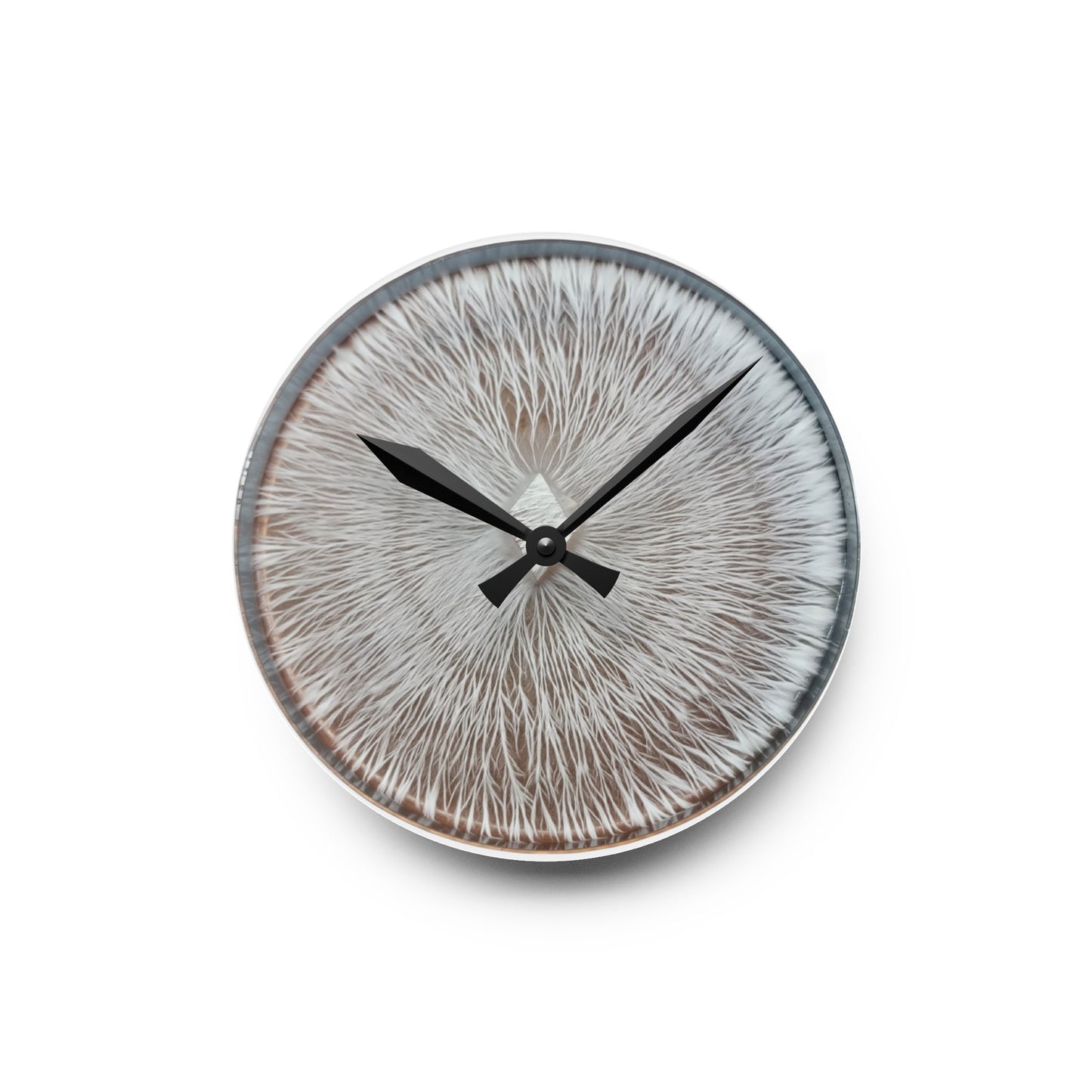 The Sector — Mycelium Wall Clock