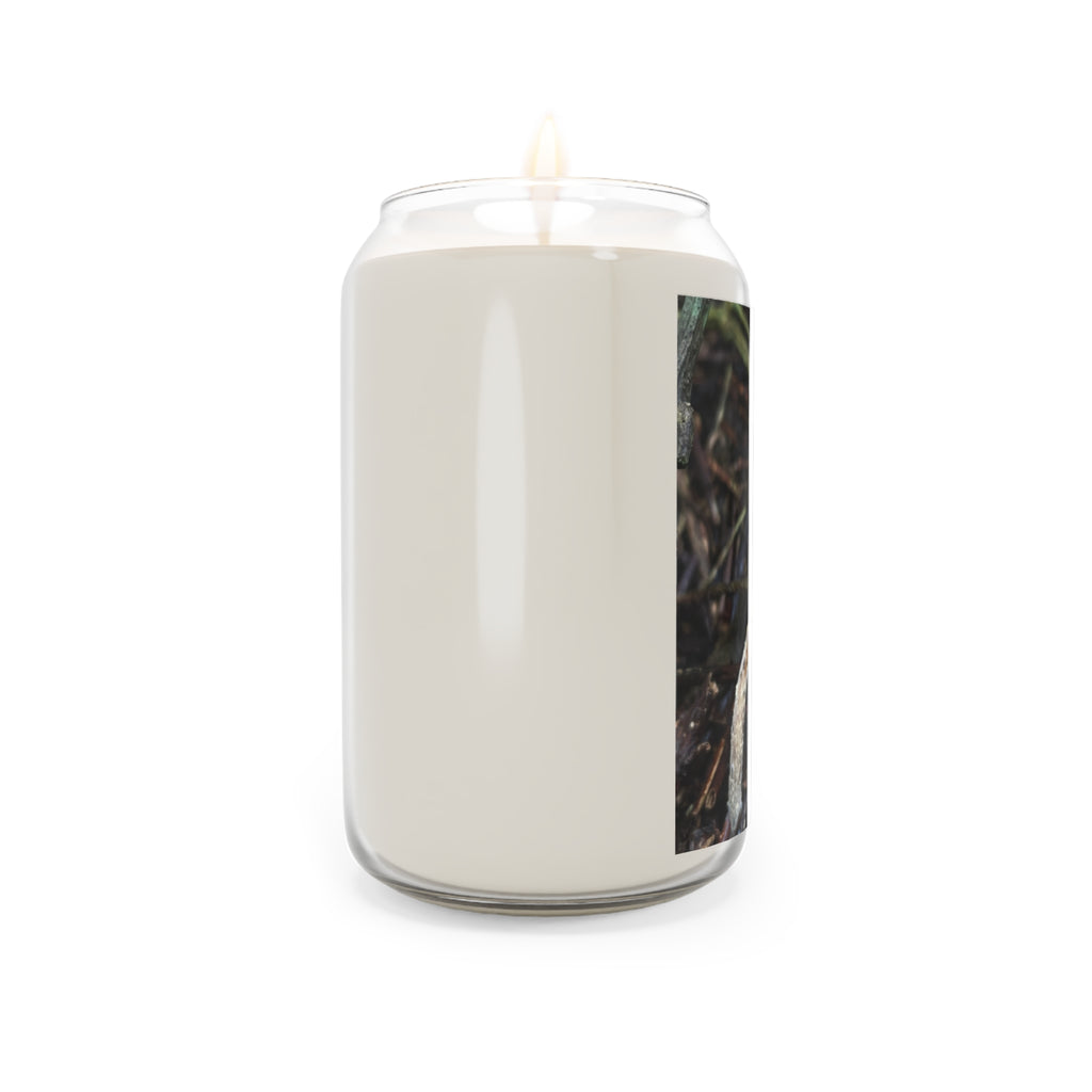 Forest Zap Soy Candle — 13.75 oz